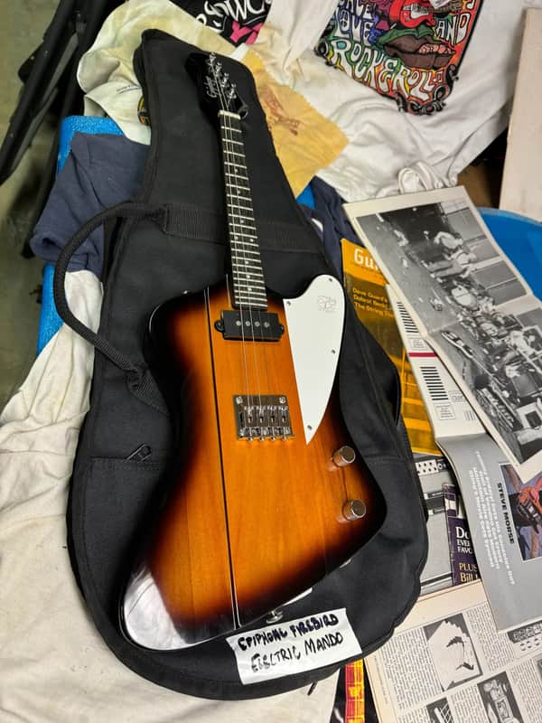 Epiphone Mandobird 8-String 2011 | Reverb