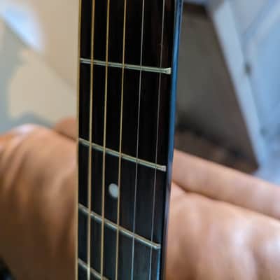 Zager ZAD-20 Black with case Bild 11