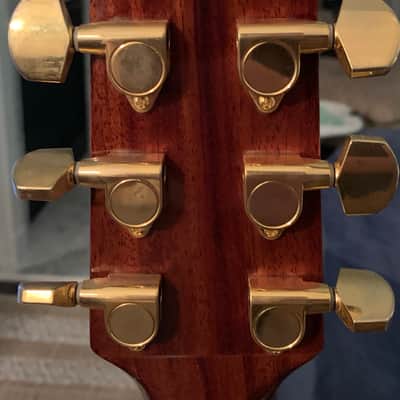Washburn Pro D10SCEDL Acoustic Electric Guitar  with Gator Hard Shell Case image 5