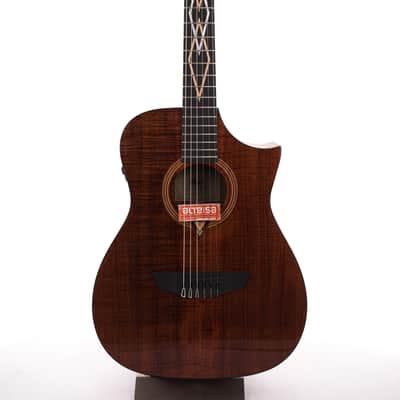 Cort LUXE nylon II Frank Gambale Cutaway with Electronics W-case 2039gr image 2