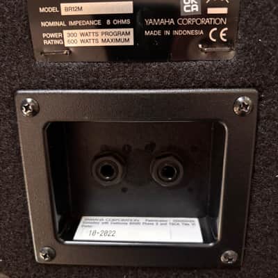 LOCAL PICKUP lightly-used Yamaha BR12M 12" 2-way Floor / Stand Monitor Speaker image 6