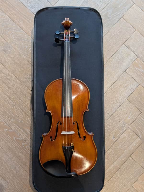 DZ Strad Model 800 Viola 15.5″ – Brand New – Adjustable Case & 2 Bows image 1