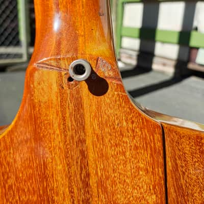 Gibson Thunderbird 1979 - Natural image 6