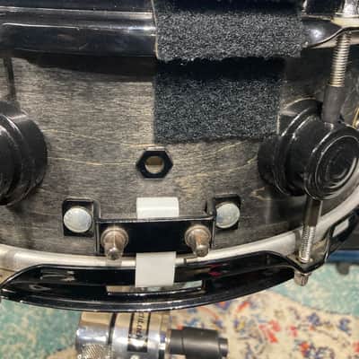 DW Terry Bozzio's 5x13" Collector's Craviotto Solid Shell Snare Drum 1998-Transparent Black Satin Oil image 13