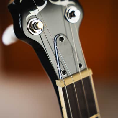 Ibanez B200 WITH HARDSHELL CASE - 5-String Resonator Banjo image 5