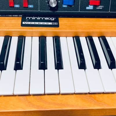 MiniMoog Voyager Old School Analog Synthesizer 🎹 Like NEW • Tested • Serviced • Full Warranty image 7