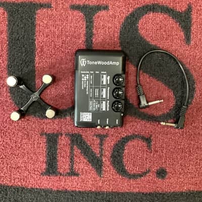 ToneWood Amp for Acoustic Guitar image 2