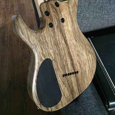 Kiesel Carvin Aries AM7 Multiscale New! 2016 Buckeye Burl image 23