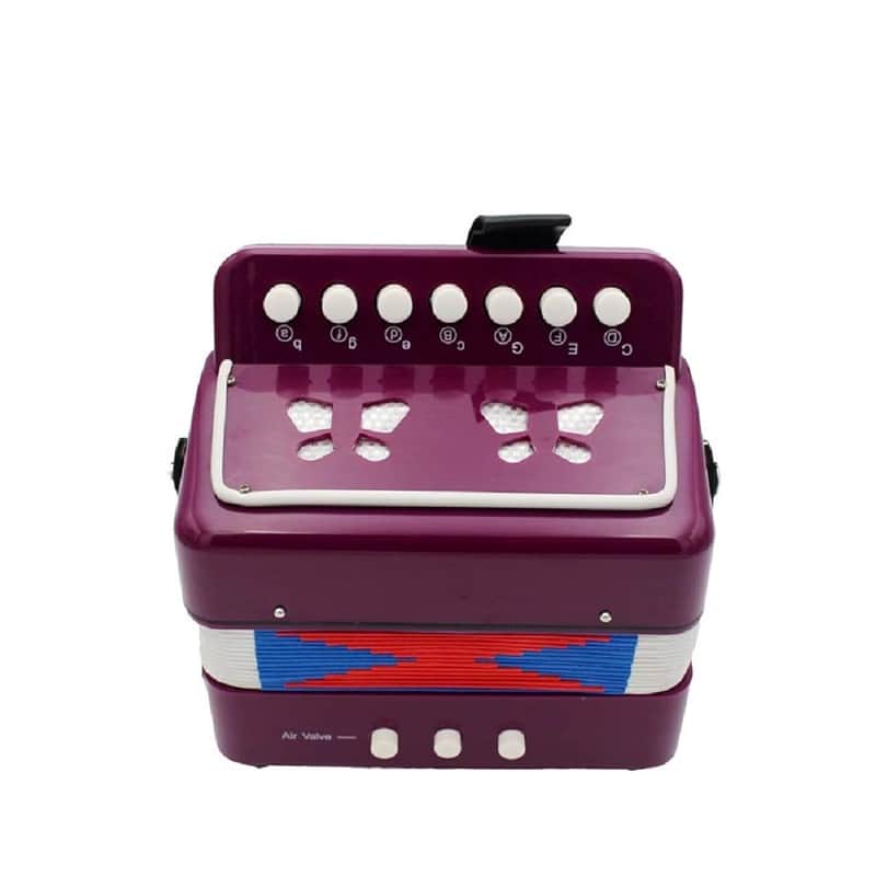 2025 Unbranded Funnygoo Children'S Kids' Button Accordion Toy ...
