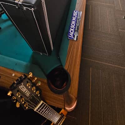 Road Runner RRGS5 5 Guitar Stand Case image 1