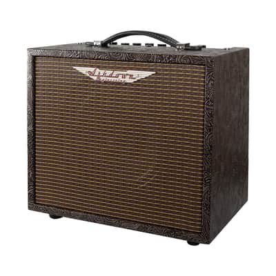 Ashdown Woodsman Parlour | 25W 1x8 Acoustic Guitar Combo. New with Full Warranty! image 3