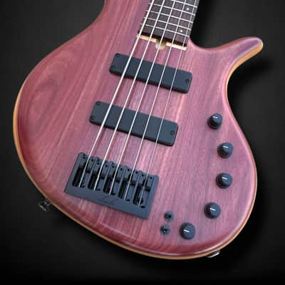 Elrick EVO Gold 5 String Purpleheart 2025 - Natural image 3