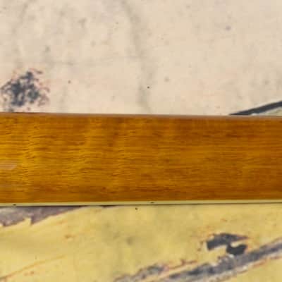 Michael Kelly Dragonfly 4FL Fretless Acoustic Bass image 7