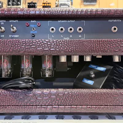 Amplified Nation Trem-Drive Deluxe 100W Head 2023 - Shiraz Croc image 8