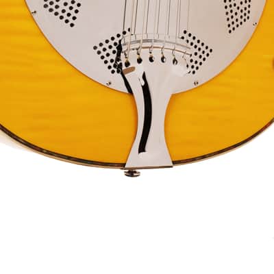 Mojo: Round-neck Resonator Guitar with Pickup and Case image 4