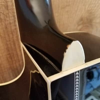 Esteban by American Legacy ALC-200 Acoustic Electric Cutaway Used image 3