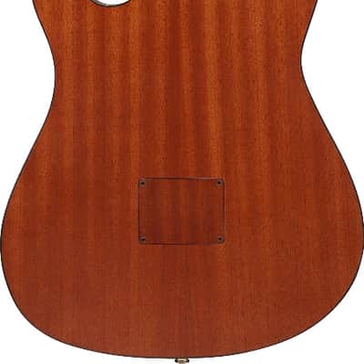 Ibanez FRH10NRGF Thinline Nylon Acoustic-Electric Guitar Rose Gold Metallic Flat image 3
