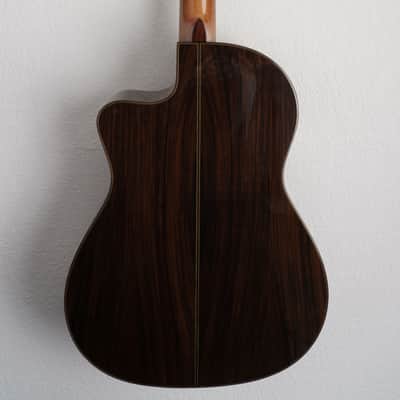 Cordoba  Fusion 12 Rose Classical Acoustic-Electric Guitar image 14