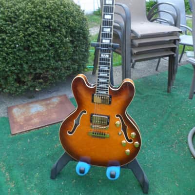 Hofner Nightingale Special Semi Hollow Guitar 1988 German made image 1