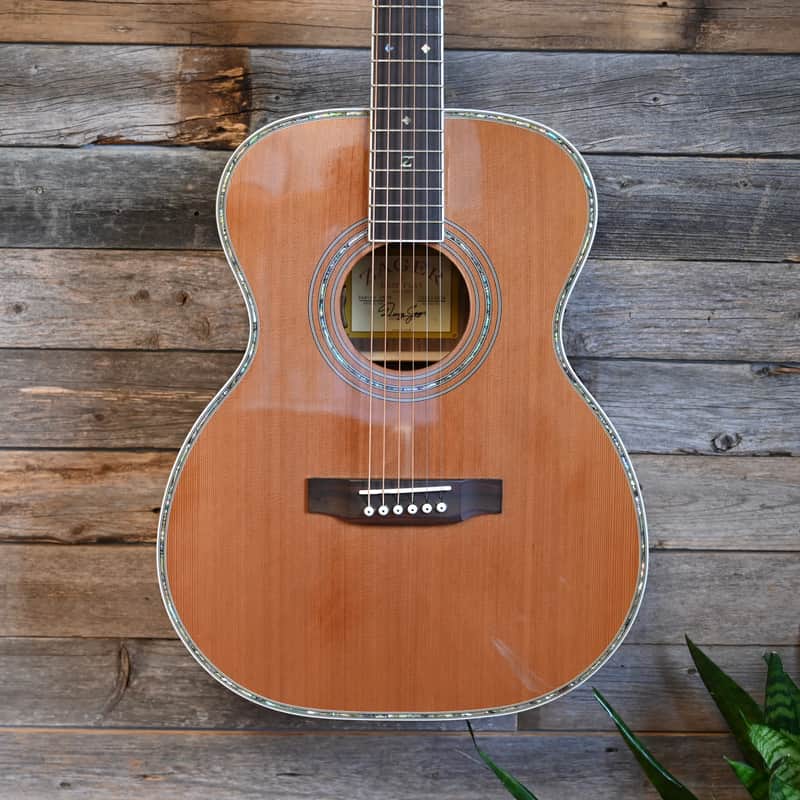 (15039) Zager ZAD-80M/N Acoustic Guitar image 1