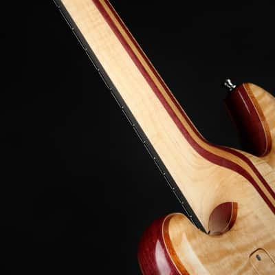Alembic Further 6 - Buckeye Burl - Resin Top image 9