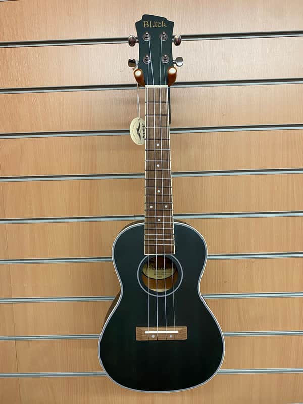 Adam Black Concert Ukulele Blue image 1