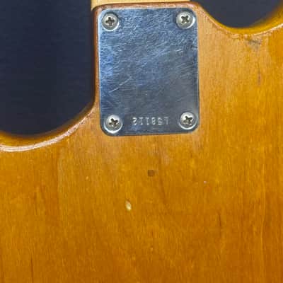 Fender Duo-Sonic 1964 - natural image 3