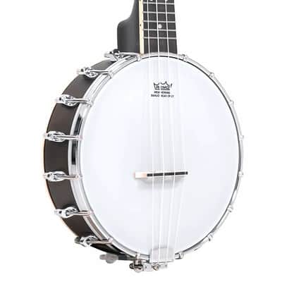 Gold Tone BUS Maple Neck Soprano-Scale Banjo Ukulele with Hard Case image 2
