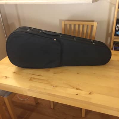 Vintage 70s Giannini Baritone Ukulele Uke Made in Brazil Gibson Tuners w/ case image 14