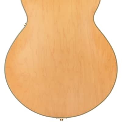 D'Angelico DADSSSHNGT DELUXE SS Single Cutaway Semi-Hollow Body 6-String Electric Guitar w/Deluxe Hardshell Case image 5