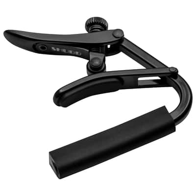 C1K Capo Noir Shubb image 1