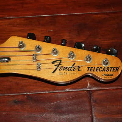 1976 Fender Telecaster Thinline image 5