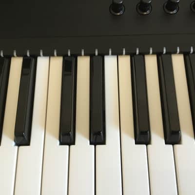 Native Instruments Komplete Kontrol S49 Mk2 2021 - Black + K13+ Decksaver + Hardcase Swam Flight S49 image 3
