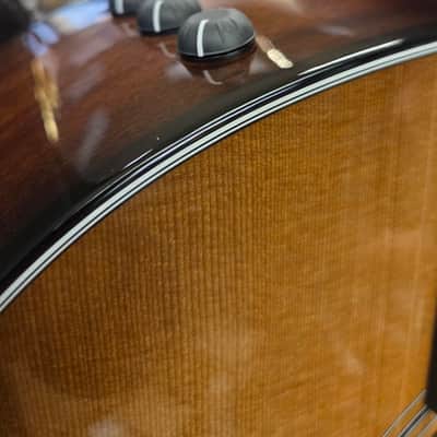 Taylor 50th Anniversary Builder's Edition 314ce LTD image 3