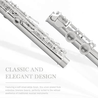 Closed Hole 16 Keys Flute, Silver-plated C Flutes for Beginner Student, Flute Instrument with Cleaning Kit, Carrying Case, Gloves, Tuning Rod image 2