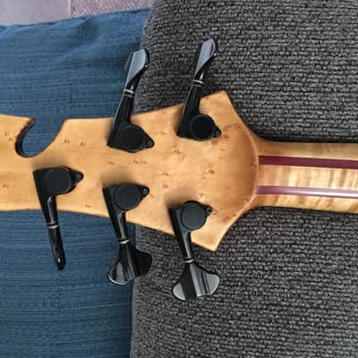 Prana custom bass PC-Buckeye burl 5str.  2014 Clear image 10