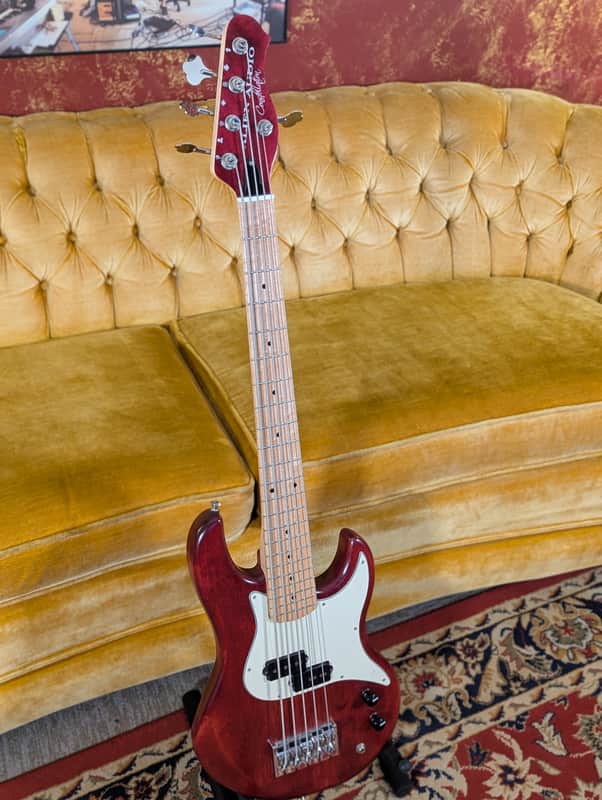 Alien Audio Constellation 5 String Bass image 1