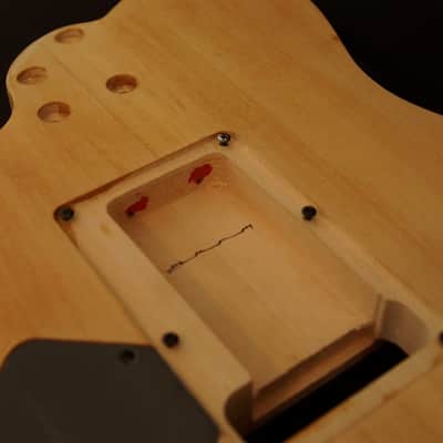 Custom Ibanez body routed for AANJ Wizard neck, and Original Edge tremolo image 6