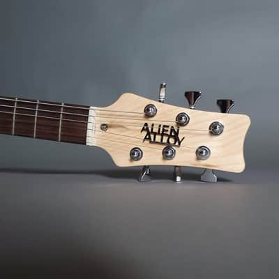 Alien Alloy Guitars - Conspiracy - HH image 9