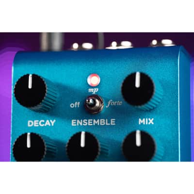 Strymon Cloudburst Ambient Reverb Pedal image 4
