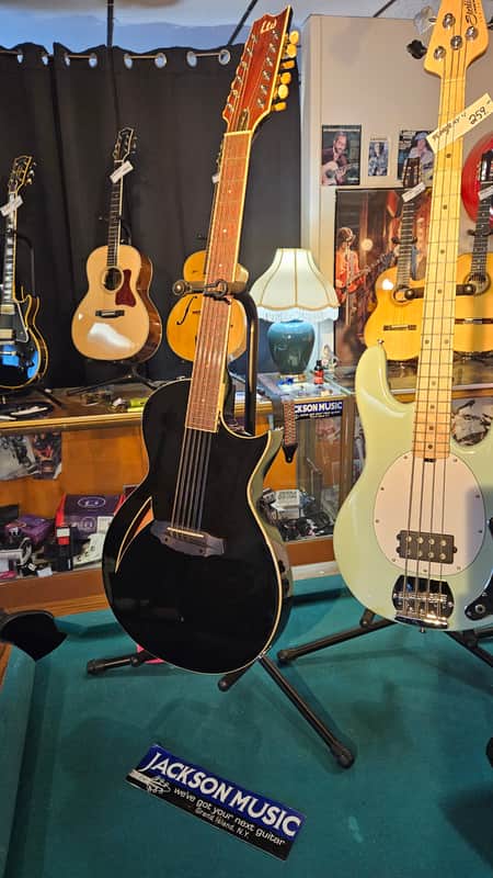 ESP LTD TL-12 Thinline Acoustic-Electric Guitar, 12-String image 1