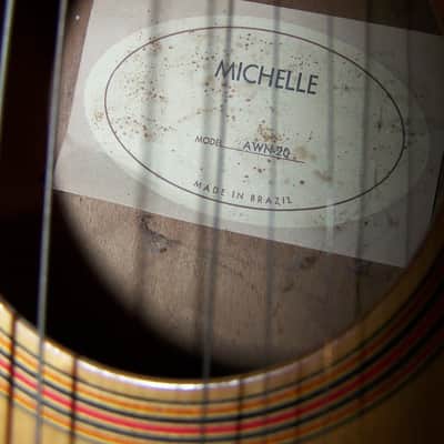 Giannini Michelle AWN-20 1960's image 7