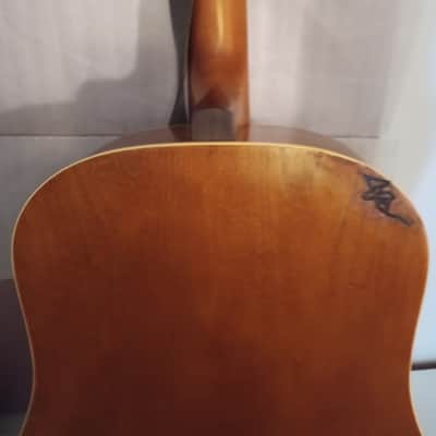 Seagull Entourage Dreadnought 2018 - Autumn Burst image 15