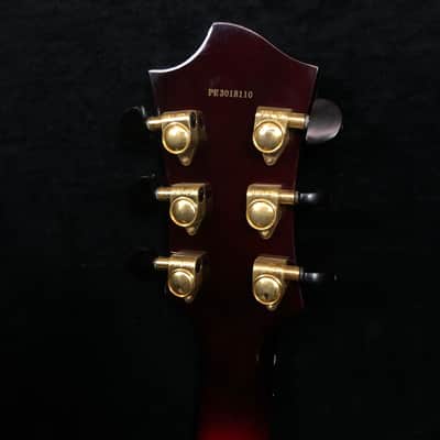 Peerless Serena Archtop Electric Hollowbody Guitar #3018110 w case image 4