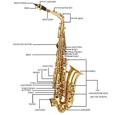 Golden Black Alto Eb Saxophone Sax Gold w/ Case Mouthpiece & Accessories image 2