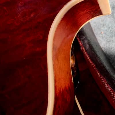 Gibson The Gibson F4 Mandolin 1920 image 10