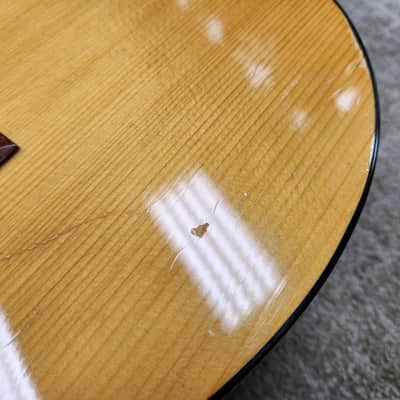 Vintage 1960s Goya TS-4 12-String Dreadnought - Recent Neck Reset w/ Original Hard Shell Case image 19