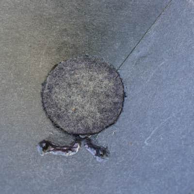 1959 Jensen P10R Alnico 5 Concert --- Tweed Fender (Bassman, Bandmaster 3x10, Vibrolux, Princeton) image 8