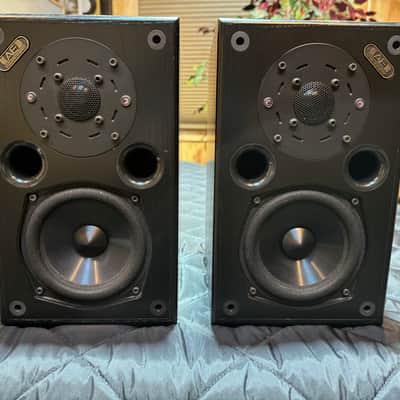 Acoustic Energy Reference Series Model AE1 Series II image 1