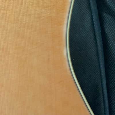 Godin Multiac Grand Concert Nylon SA image 9